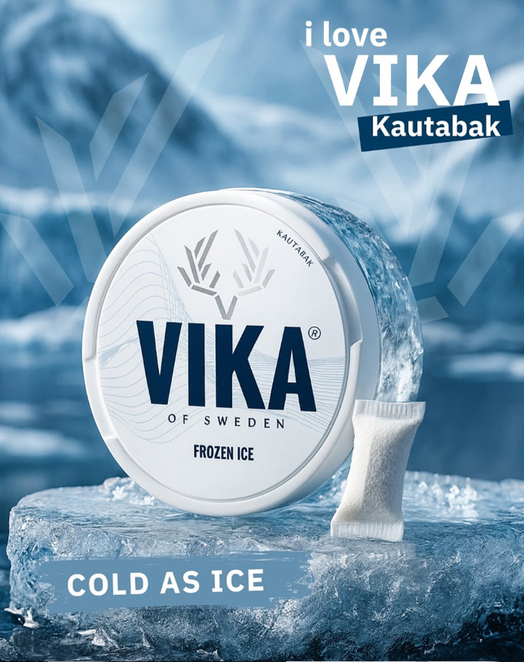Vika Rave Blueberry Ice 12g